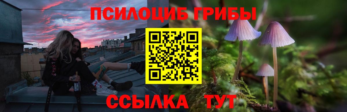 Псилоцибиновые грибы мухоморы Ковров